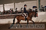 09yn-14290 proof
