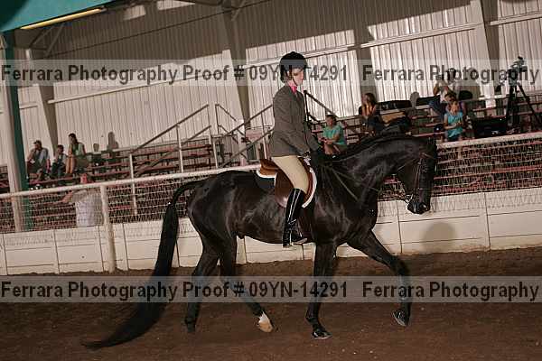 Proof 09yn-14291