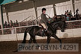 09yn-14291 proof