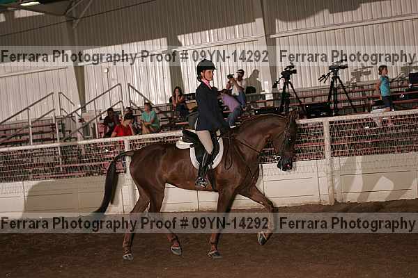 Proof 09yn-14292