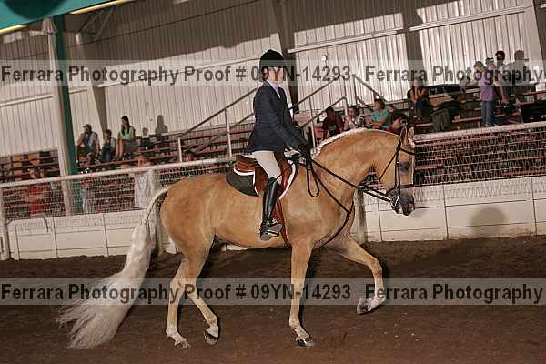 Proof 09yn-14293