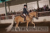 09yn-14293 proof