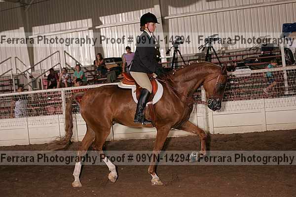 Proof 09yn-14294