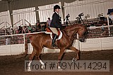09yn-14294 proof