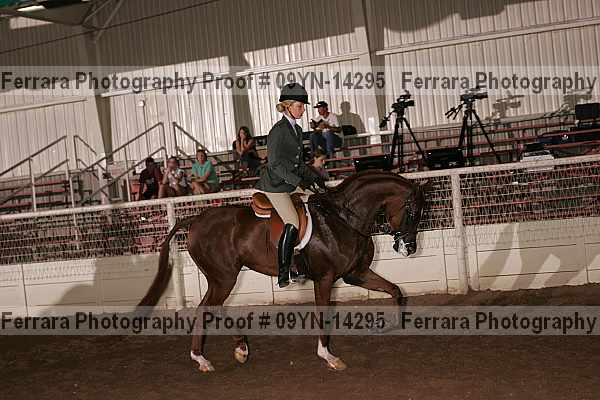 Proof 09yn-14295