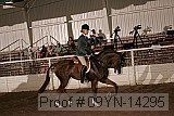 09yn-14295 proof