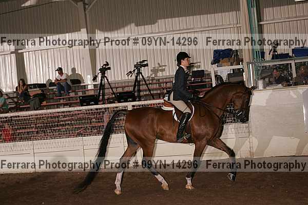 Proof 09yn-14296