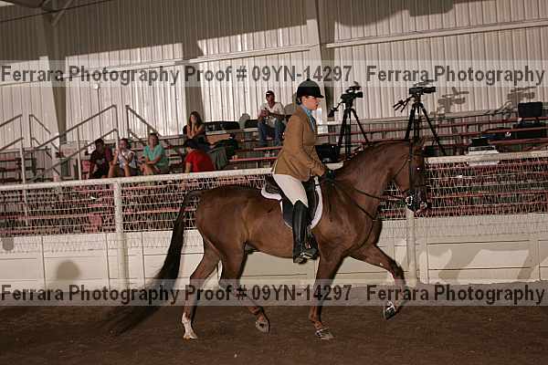 Proof 09yn-14297
