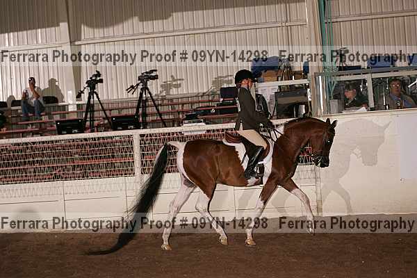 Proof 09yn-14298