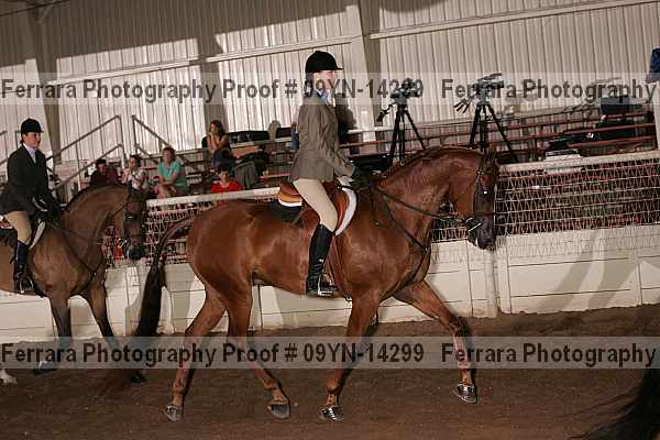 Proof 09yn-14299