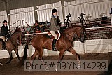 09yn-14299 proof