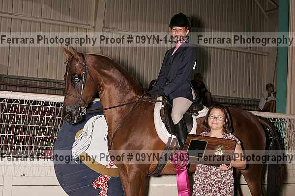 Proof 09yn-14303