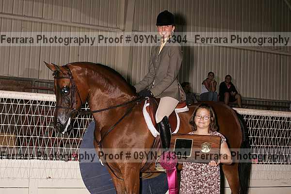 Proof 09yn-14304