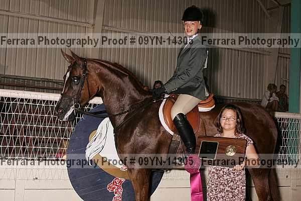 Proof 09yn-14305
