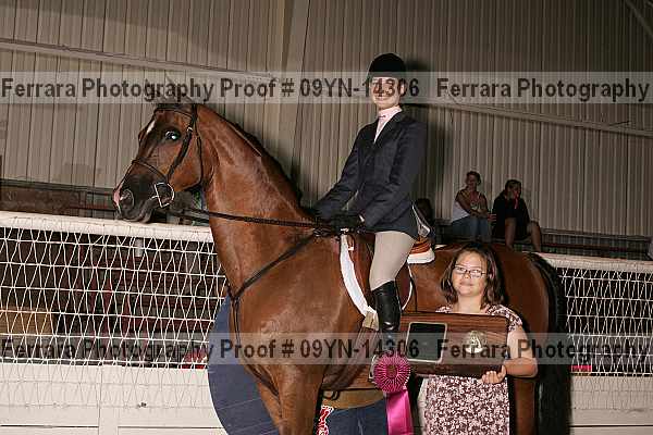 Proof 09yn-14306