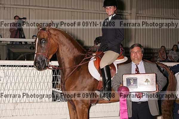 Proof 09yn-14308