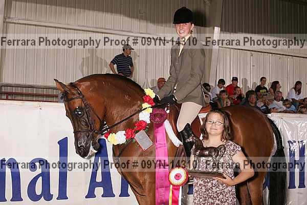 Proof 09yn-14310