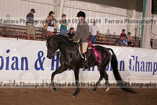 Proof 09yn-14316