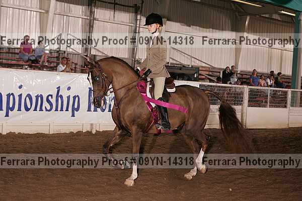 Proof 09yn-14318