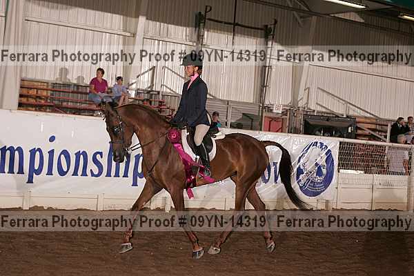 Proof 09yn-14319