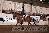 09yn-14319 proof