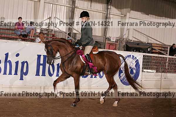 Proof 09yn-14321