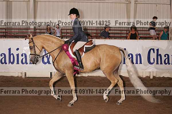 Proof 09yn-14325