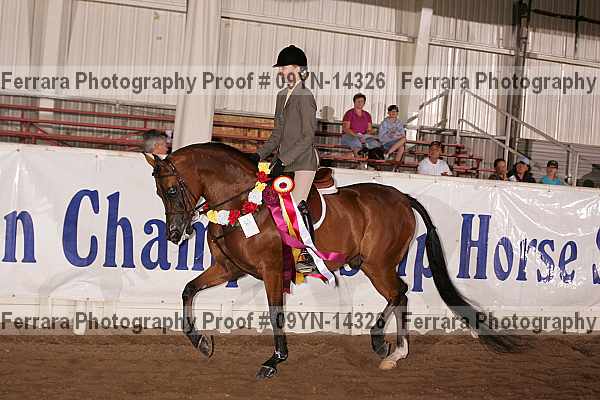 Proof 09yn-14326