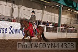 09yn-14328 proof