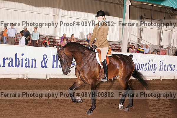 Proof 09yn-00882