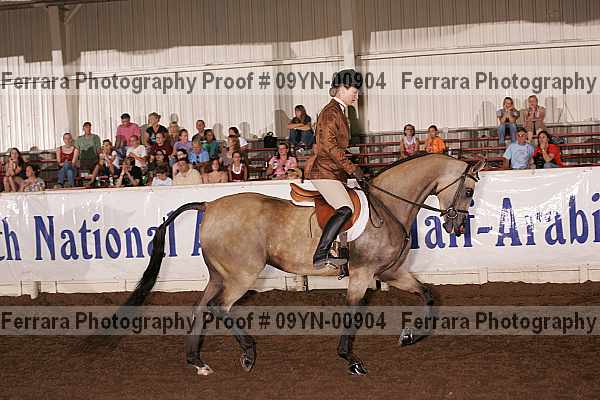 Proof 09yn-00904