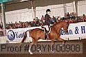 09yn-00908 proof