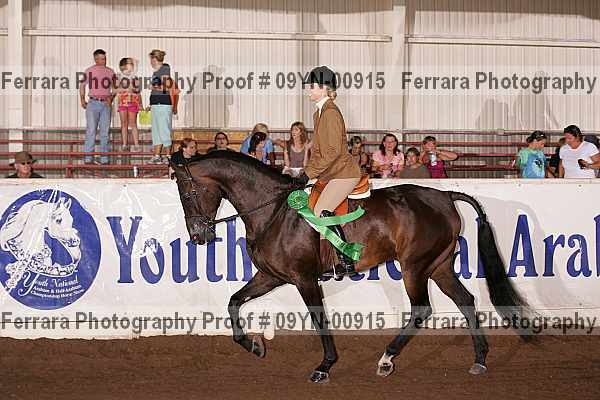 Proof 09yn-00915