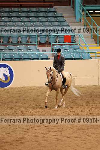 Proof 09yn-02374