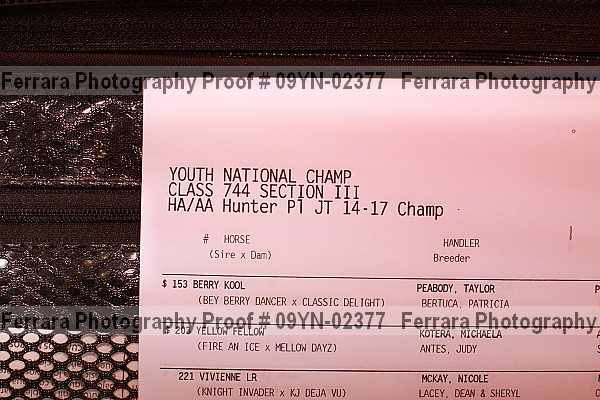 Proof 09yn-02377