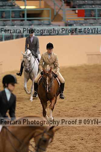Proof 09yn-02382