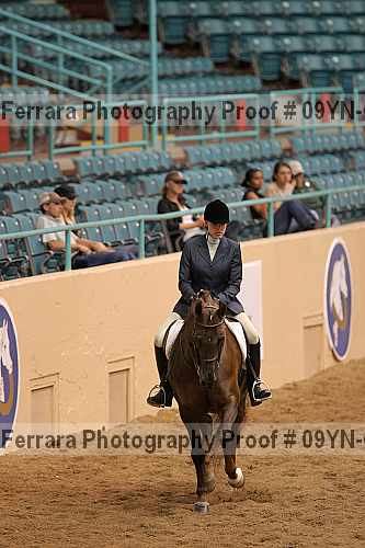 Proof 09yn-02384