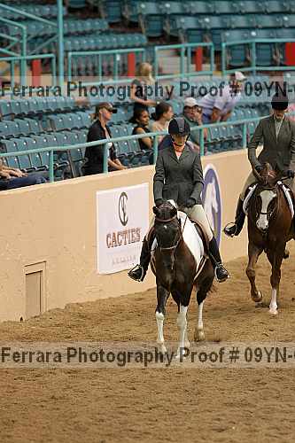 Proof 09yn-02392
