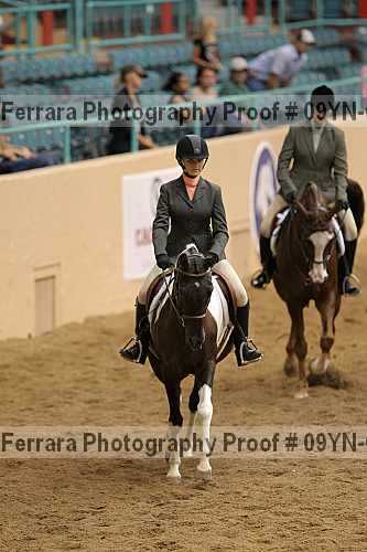 Proof 09yn-02393