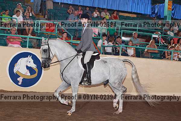 Proof 09yn-02394