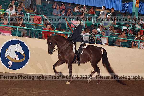 Proof 09yn-02395