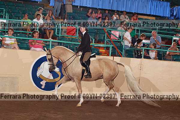 Proof 09yn-02397