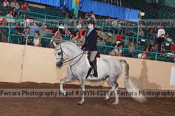 Proof 09yn-02398