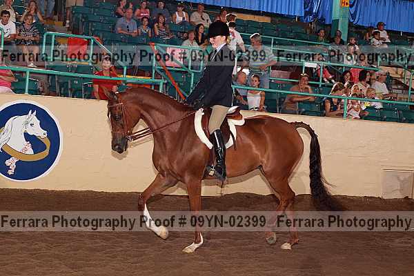 Proof 09yn-02399