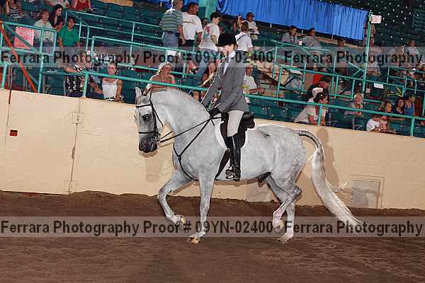 Proof 09yn-02400