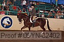 09yn-02402 proof