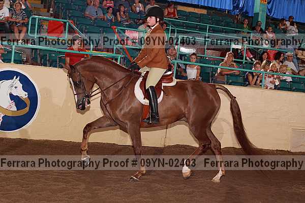 Proof 09yn-02403