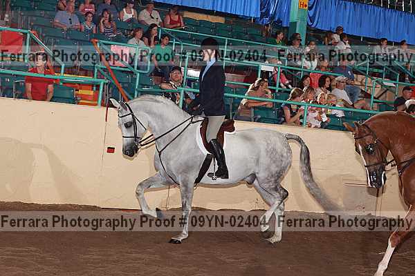 Proof 09yn-02404