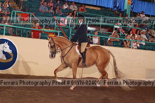 Proof 09yn-02406