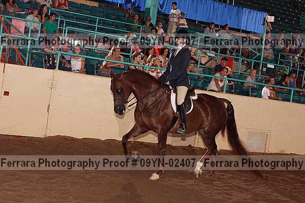 Proof 09yn-02407